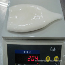 Estándar de tubo de calamar congelado de IQF tratado con productos químicos estándar